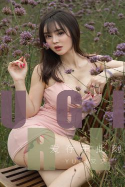 最完美的离婚2014特别篇电影